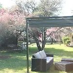 Don Quichotte Hotel Vallet