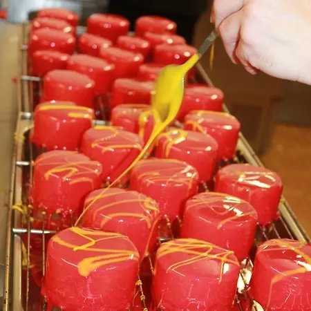 酒店 堂吉诃德酒店 Vallet